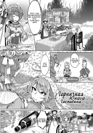 Горничная юного господина (The Young Master’s Partner Maid)