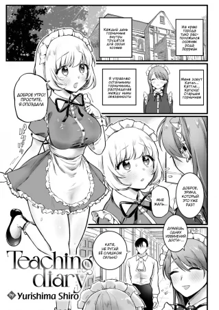 Дневник обучения (Teaching Diary)