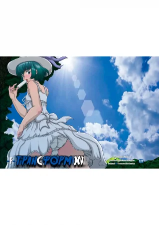 Трансформ 11 (-F- TRANceFORM11)